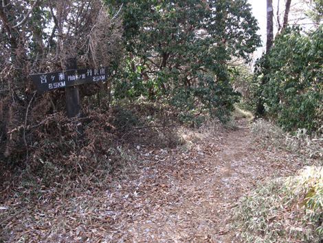 20190108hike (324)